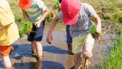 英語教室が少ない地域でも大丈夫！地方でできる家庭×保育園の英語環境づくり