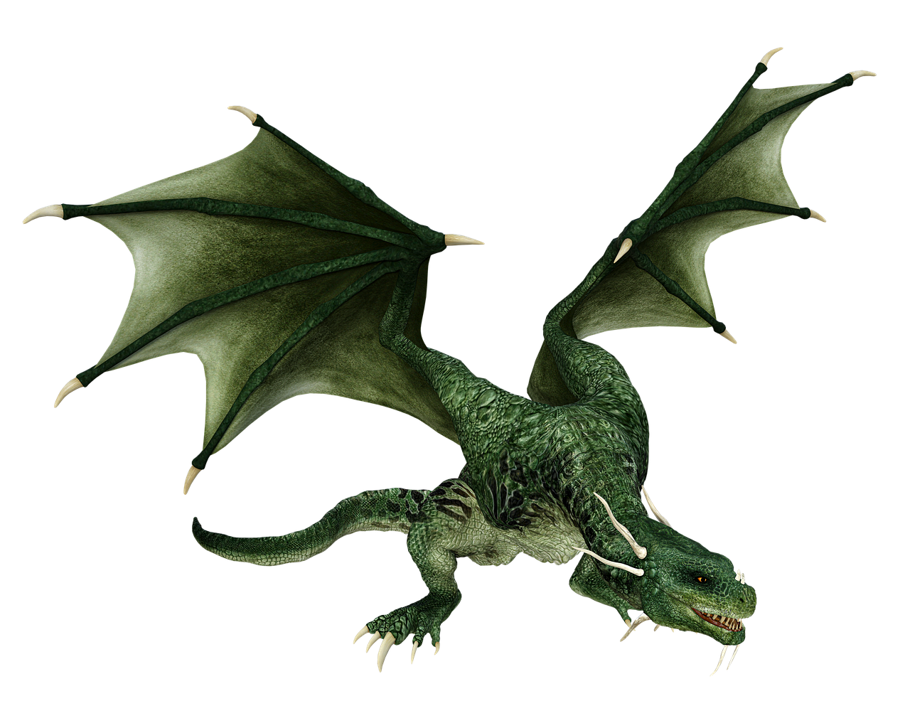 ワイバーンの起源