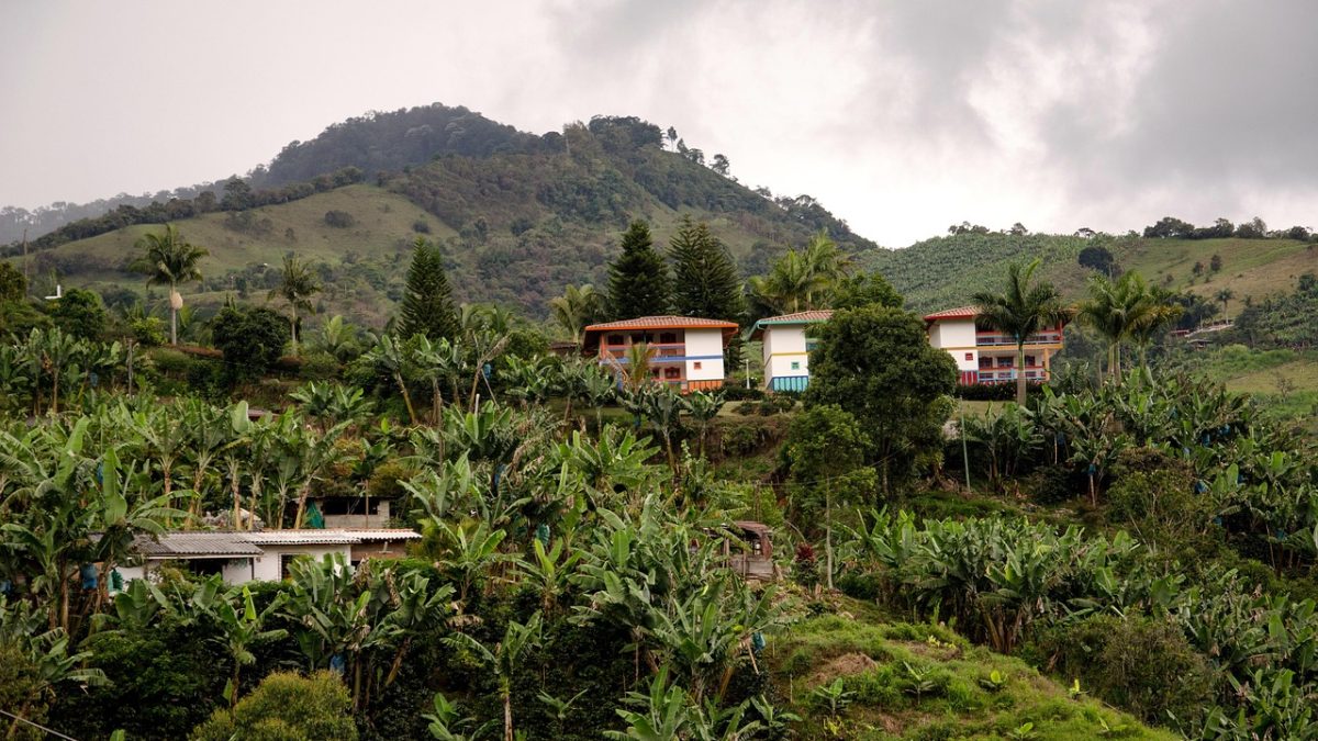 英語で旅する世界遺産：コロンビアの「コーヒー産地の文化的景観」ってどんな場所？