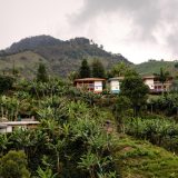 英語で旅する世界遺産：コロンビアの「コーヒー産地の文化的景観」ってどんな場所？