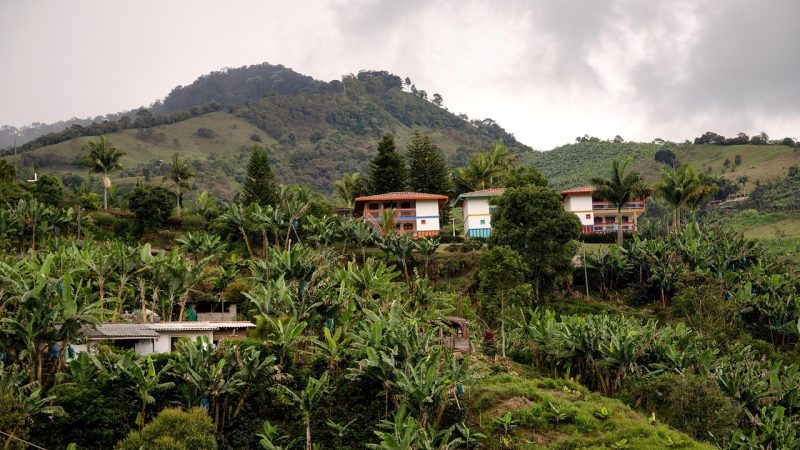 英語で旅する世界遺産：コロンビアの「コーヒー産地の文化的景観」ってどんな場所？
