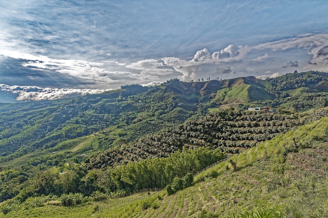 世界遺産としての価値