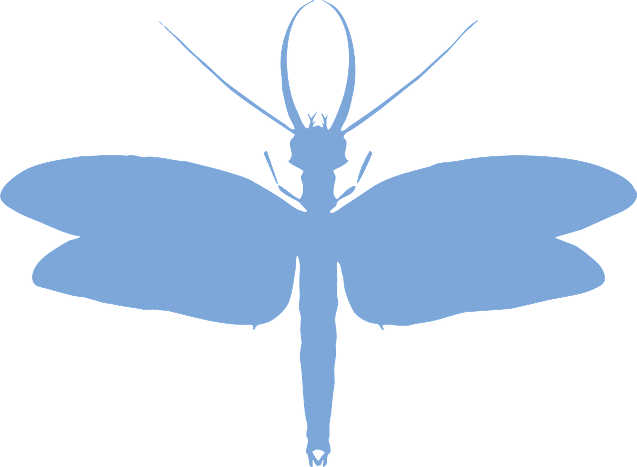 節足動物「オオキバヘビトンボ」の基本情報