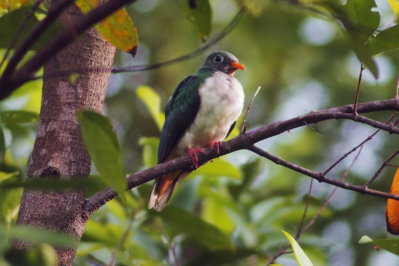 旅先で使える英会話フレーズ
