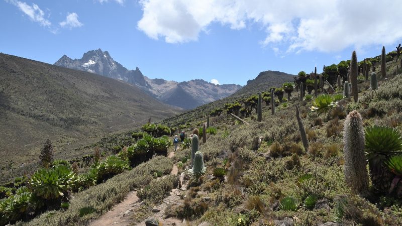 ケニアの世界遺産「ケニア山国立公園／自然林」とは？野生の楽園を英語で旅する！