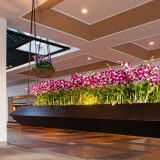 フラワーデザイナーの仕事を英語で説明！業務内容や日本のフラワーデザイン文化をわかりやすく紹介