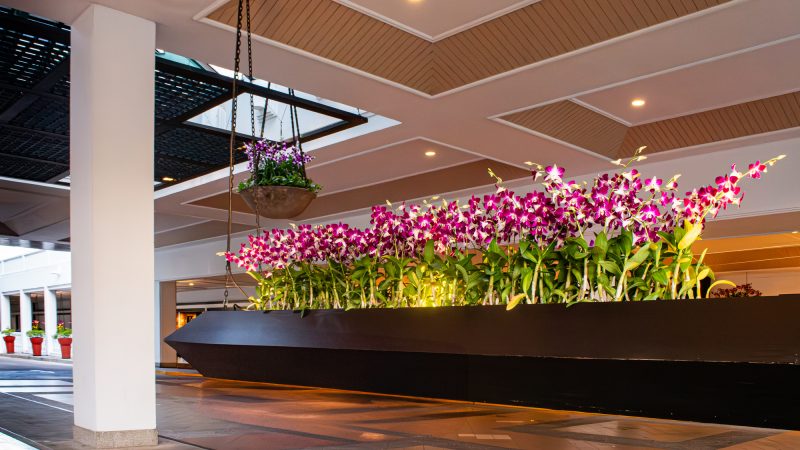 フラワーデザイナーの仕事を英語で説明！業務内容や日本のフラワーデザイン文化をわかりやすく紹介