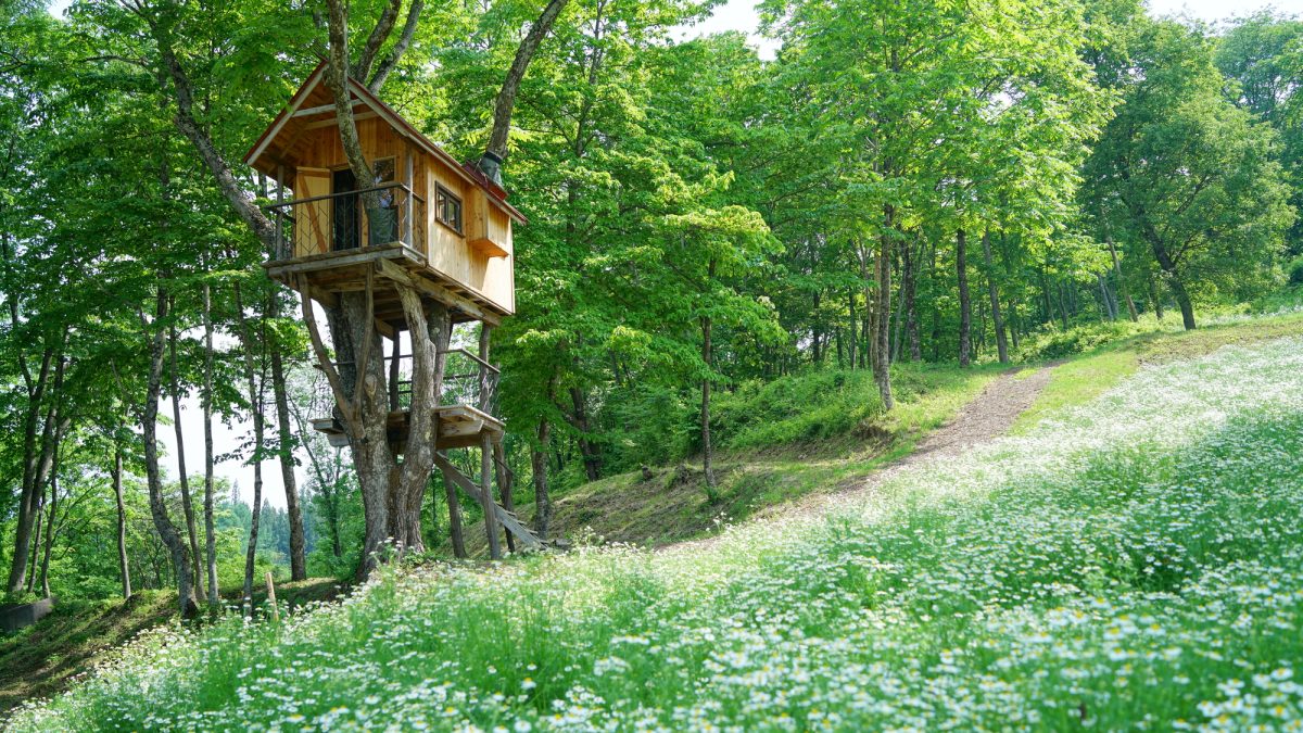 ツリーハウスホテルスタッフの仕事を英語で説明！業務内容や日本のツリーハウスの特徴をわかりやすく紹介