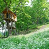 ツリーハウスホテルスタッフ｜受付から施設案内まで！お役立ち英単語とロールプレイング