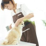 トリマーの英会話｜カットやケアに役立つ英単語とロールプレイング