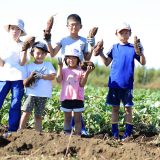秋の味覚を英語で楽しもう！「おいもほり」で学ぶさつまいも収穫の喜び