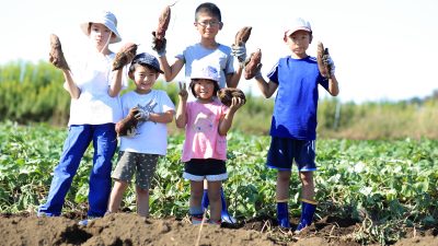 秋の味覚を英語で楽しもう！「おいもほり」で学ぶさつまいも収穫の喜び