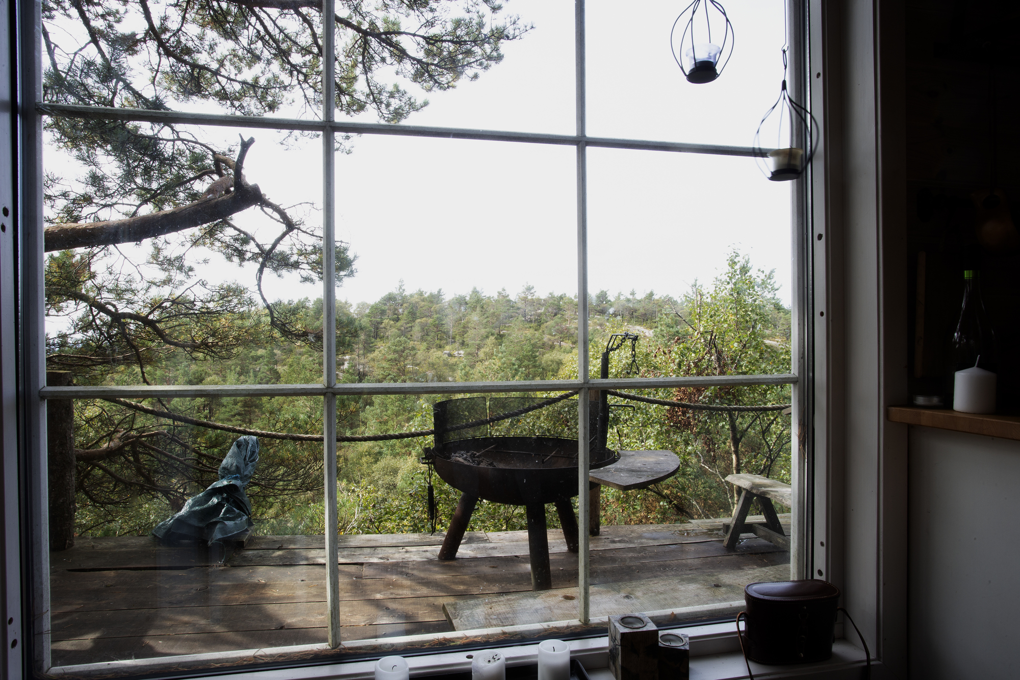 ツリーハウスホテルとは？