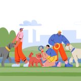 【犬のお散歩で英会話】相手の犬の性別は”it””he/she”?かわいさを褒める術など使える英会話集！