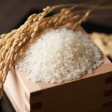 英語で「米」ってなんて言う？ご飯、稲、白米、雑穀米など米にまつわる英語表現を総まとめ！