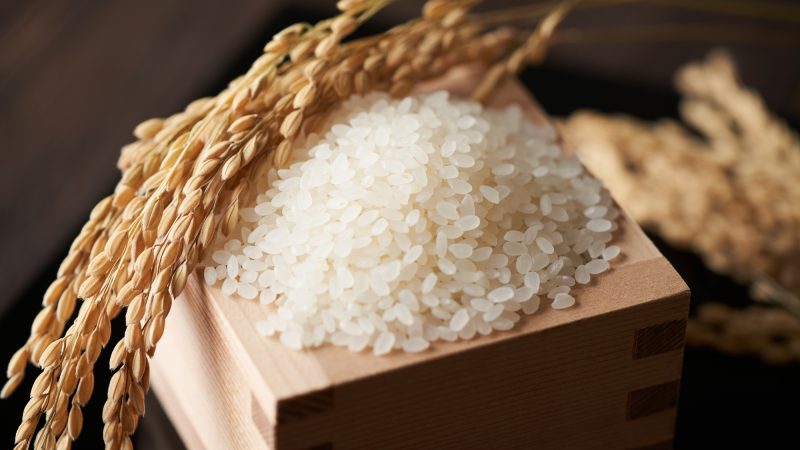 英語で「米」ってなんて言う？ご飯、稲、白米、雑穀米など米にまつわる英語表現を総まとめ！