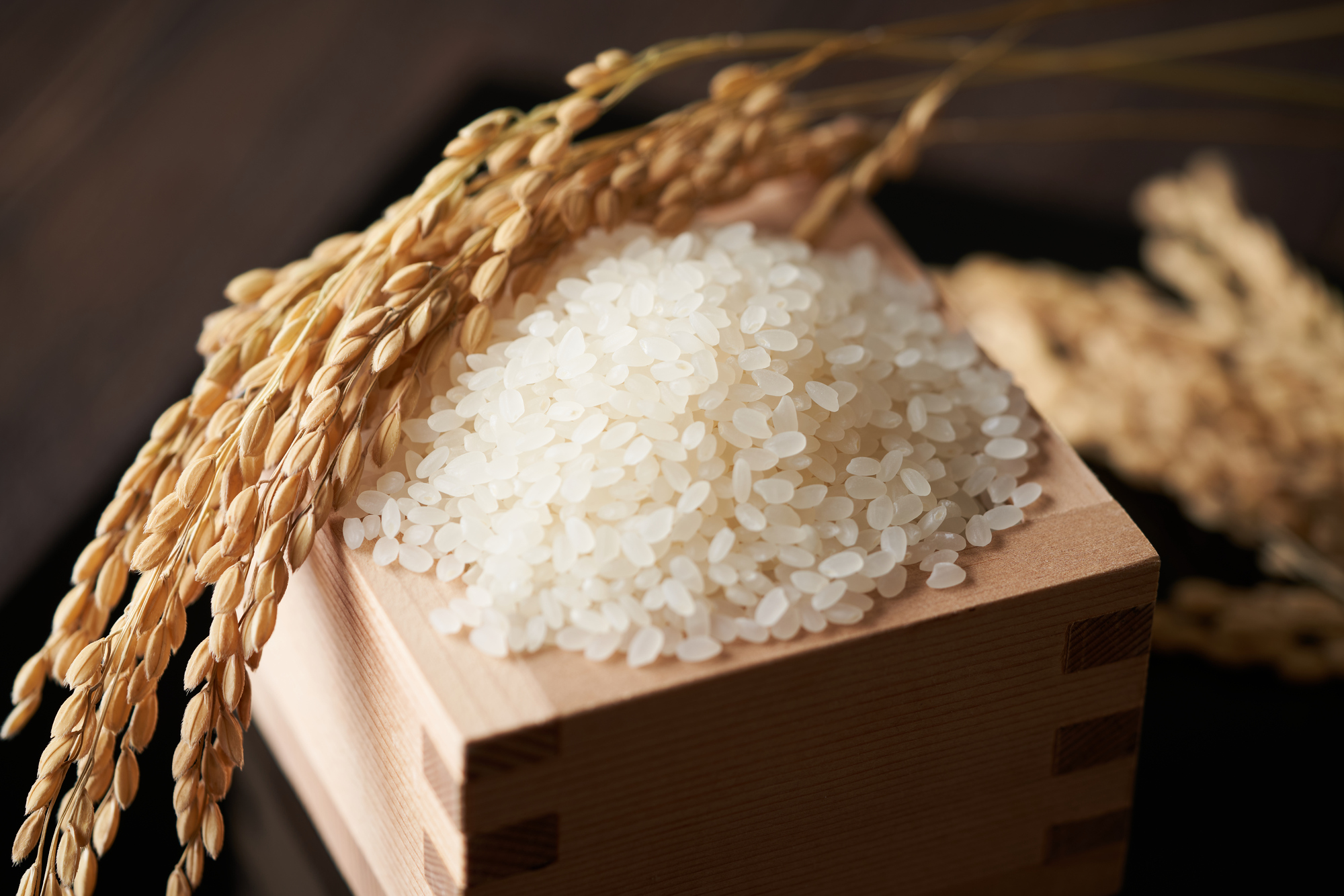 英語で「米」ってなんて言う？ご飯、稲、白米、雑穀米など米にまつわる英語表現を総まとめ！