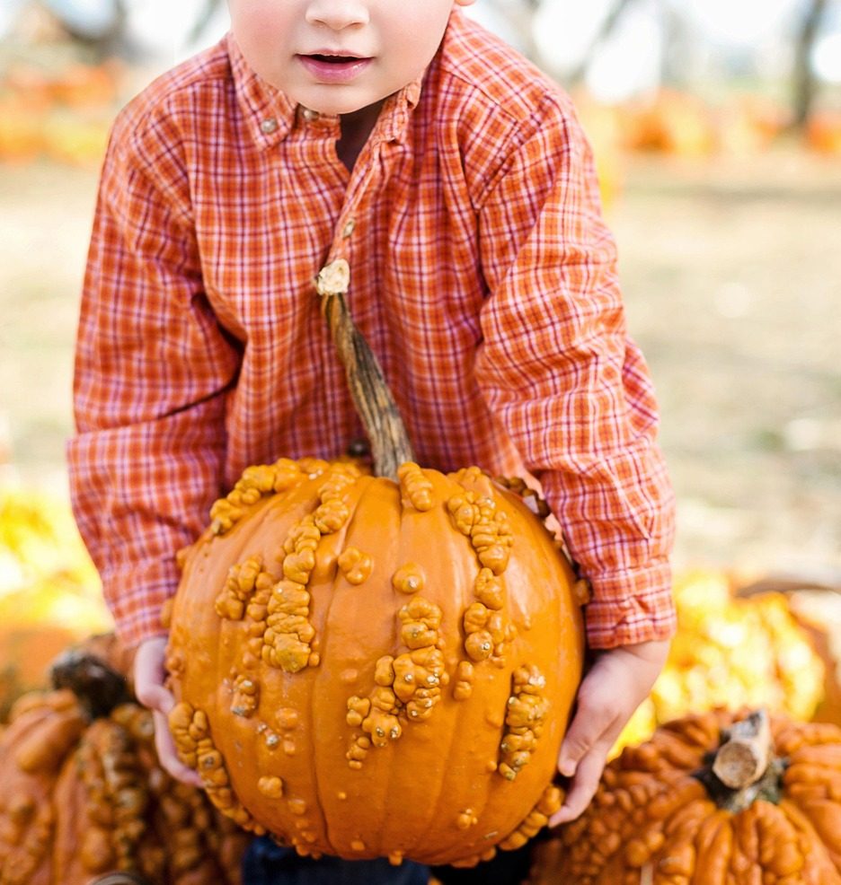 海外にもある！おいもほりに似た自然体験イベントと英語表現
