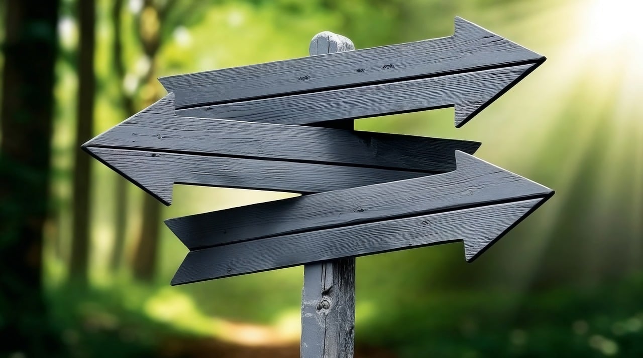 「候補」を英語で何て言う？