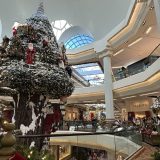 アメリカと日本ではサンタの認識が違う？アメリカにはエルフも大活躍