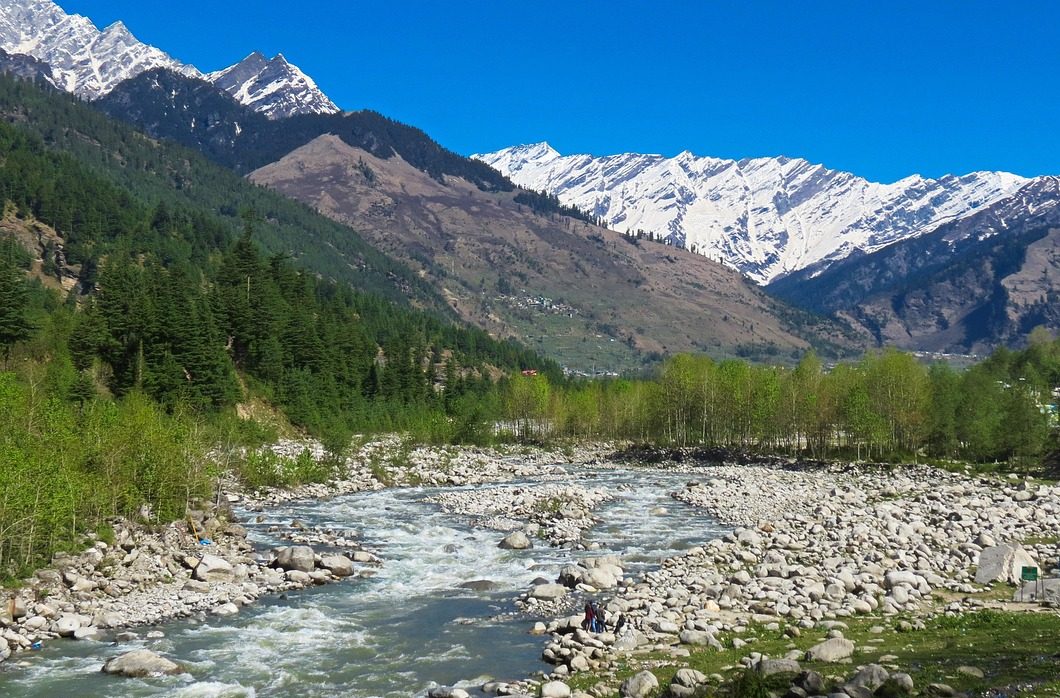 大ヒマラヤ国立公園の植物の種類と特徴