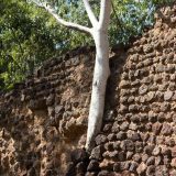 ブルキナファソの世界遺産「ロロペニの遺跡群」とは？謎に包まれた遺跡を英語で旅する