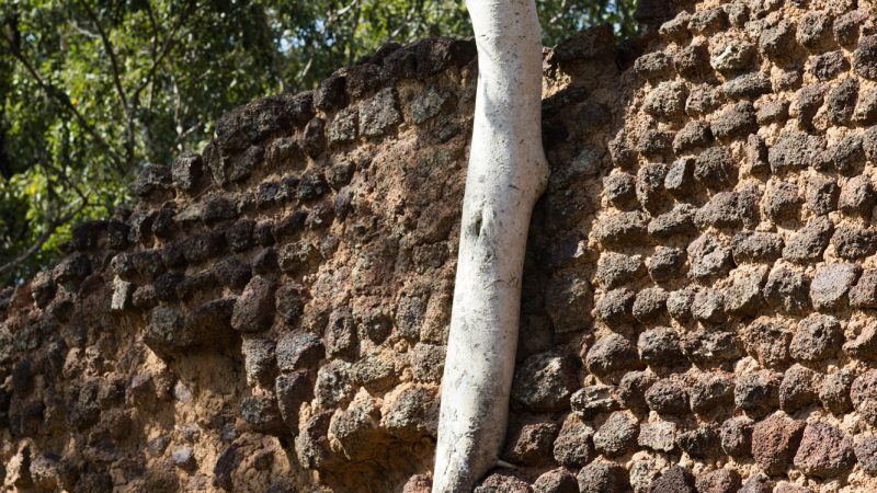 ブルキナファソの世界遺産「ロロペニの遺跡群」とは？謎に包まれた遺跡を英語で旅する