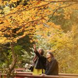 【紅葉狩り】を英語で表現！「紅葉を見に行く」と言いたいときのフレーズなど紹介