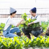 【おてつたび】は英語で何？新語・流行語大賞ノミネート語30に選出！