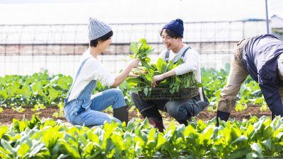 【おてつたび】は英語で何？新語・流行語大賞ノミネート語30に選出！