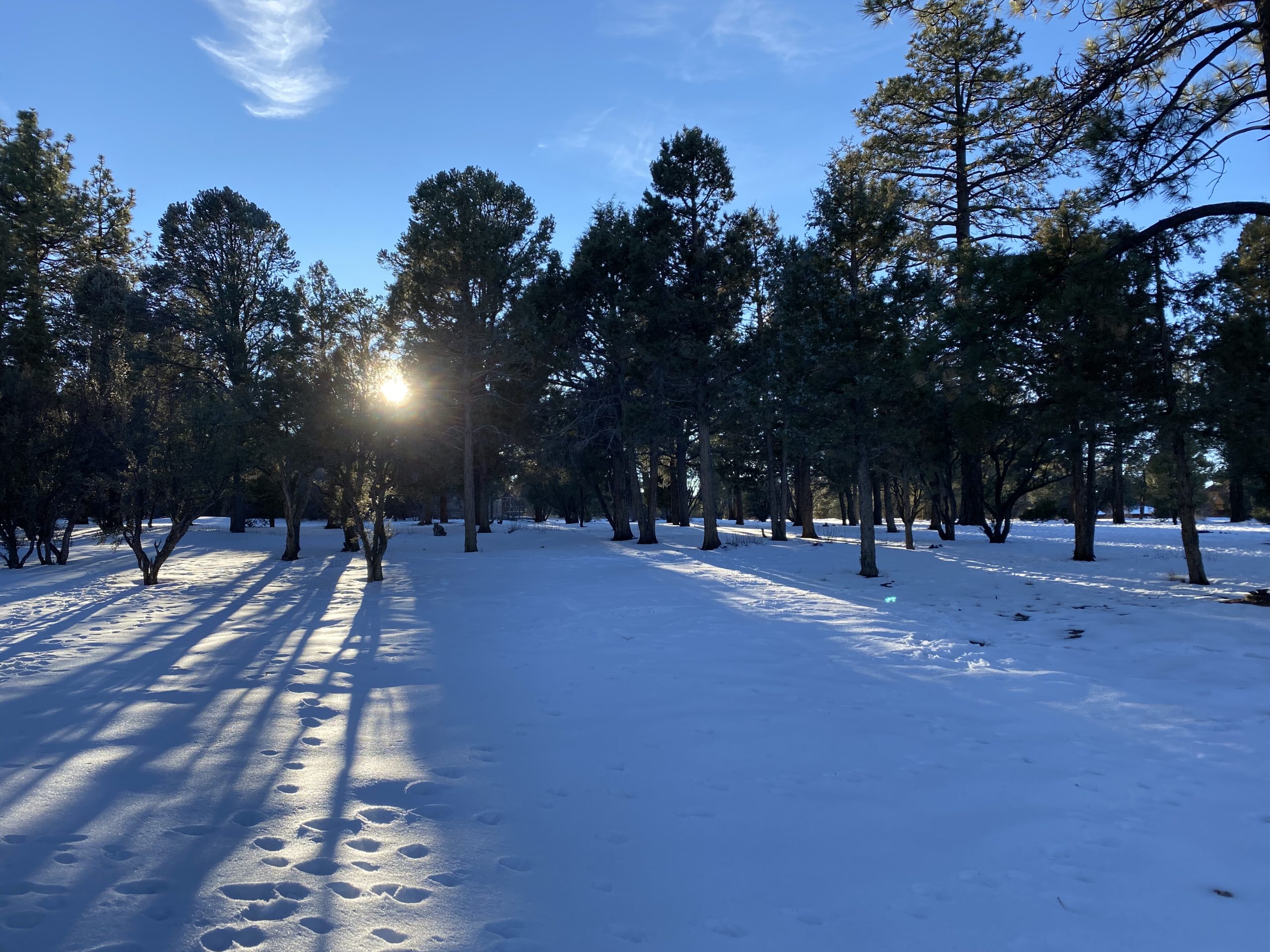 お正月の挨拶やスモールトーク