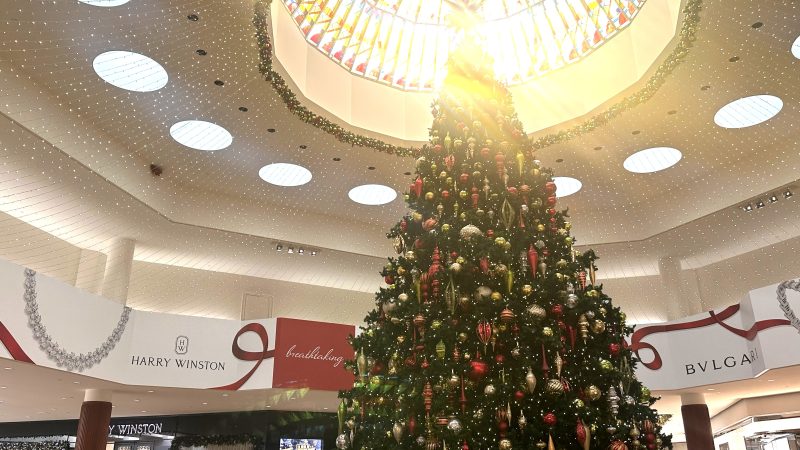 英語で日本のクリスマスを話そう！アメリカ人がビックリするトピックで盛り上がろう