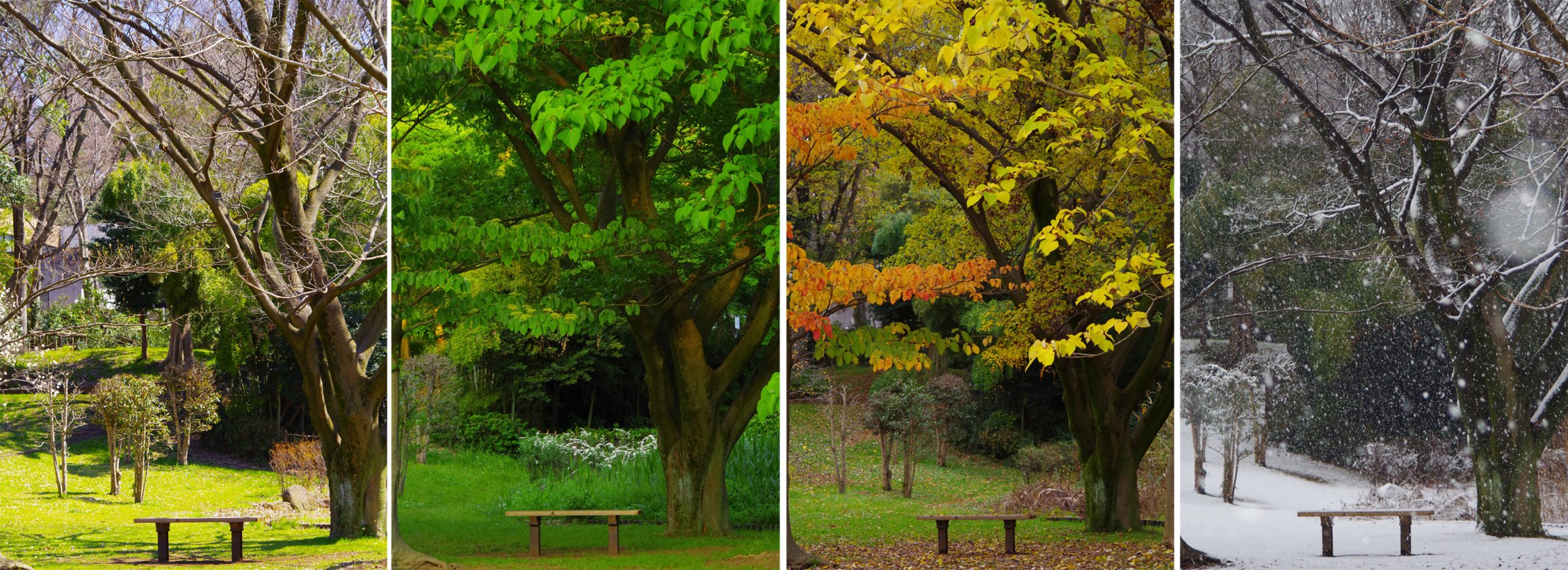 二季を外国人に説明する