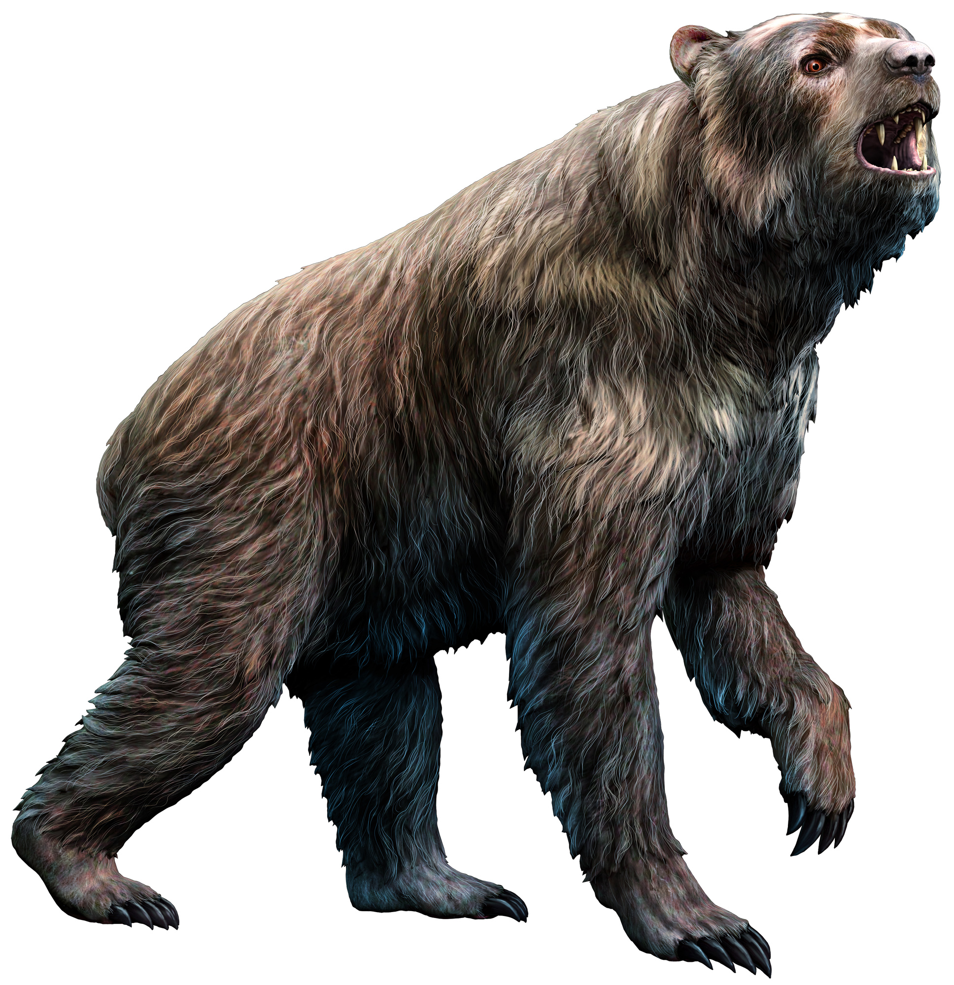 絶滅動物「アルクトテリウム」の基本情報