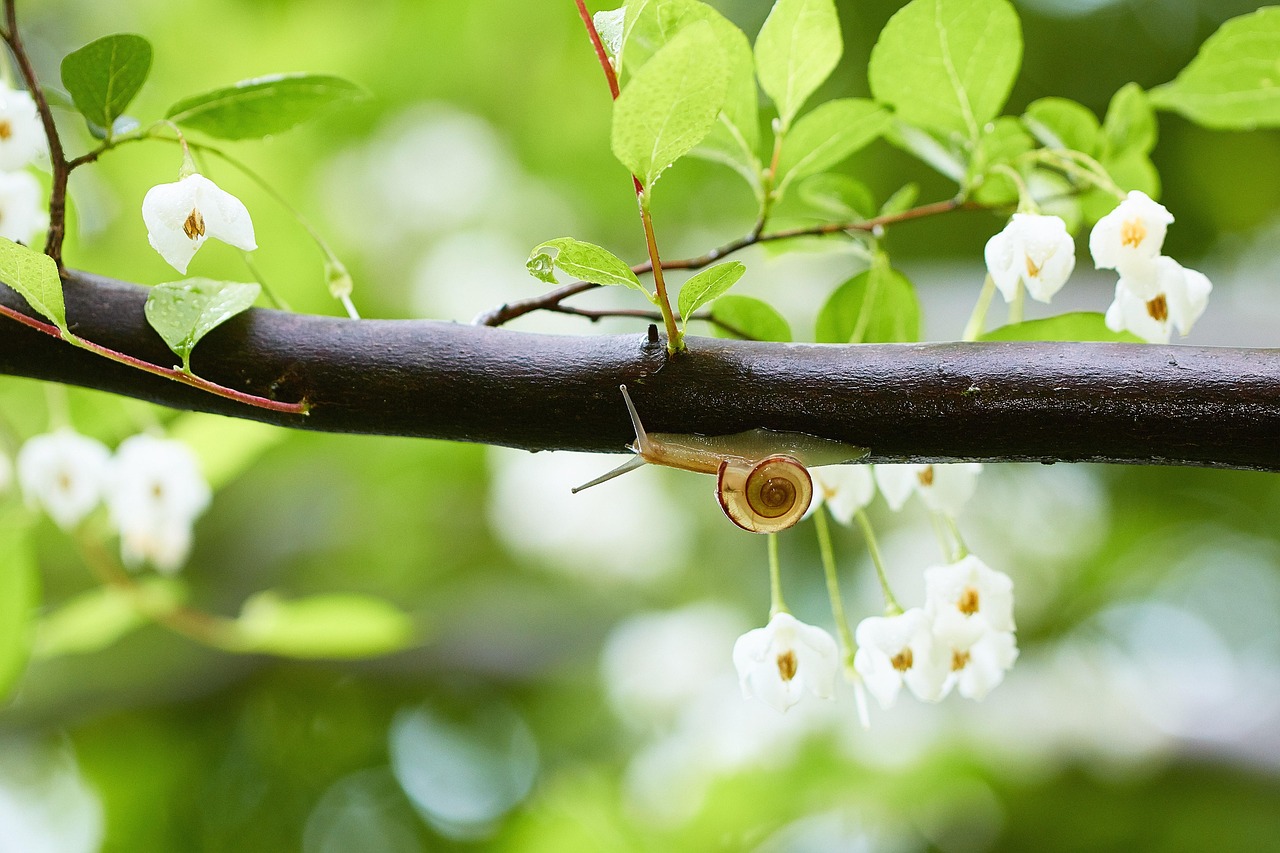 二季を英語でどう言う？