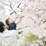 花見を英語で説明してみよう！花見のマナーや桜についての豆知識も