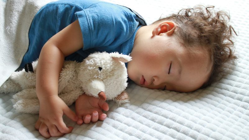 「お昼寝（Napping）は必要？」各国の保育園・幼稚園に見る昼寝文化の違い
