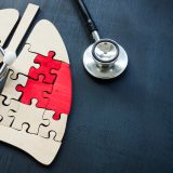 「肺」って英語でなんて言う？lungの意味や「肺炎」「呼吸器」など関連表現もチェック