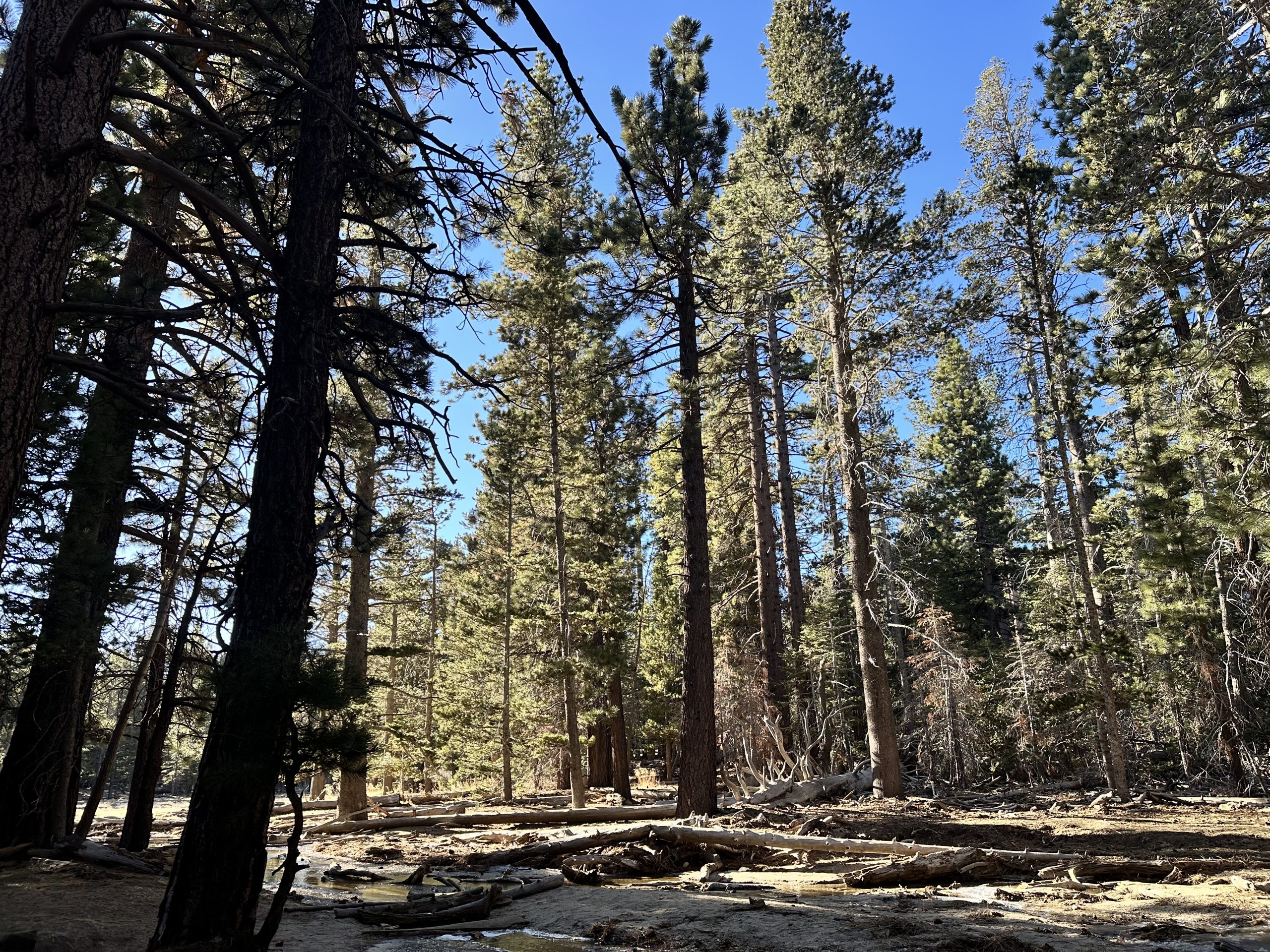 雪も楽しめるってどういうこと？