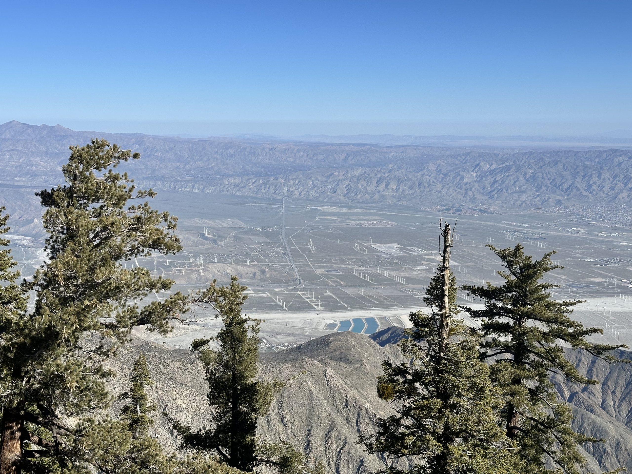 Palm Springsってどんな場所？