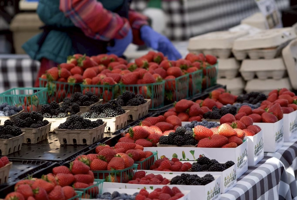 春に活発になるファーマーズマーケット