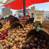 4月のカリフォルニアイベント:April Events in California: From Baseball Season to Local Festivals