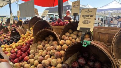 4月のカリフォルニアイベント April Events in California