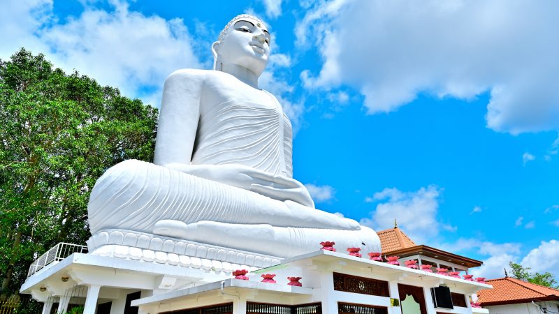 スリランカで英語は通じる？留学や旅行前に知りたい英語事情と独自の文化を徹底解説