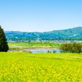 3月に使える！春の始まりを感じる英会話フレーズ集