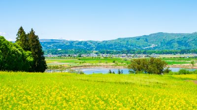 3月に使える！春の始まりを感じる英会話フレーズ集