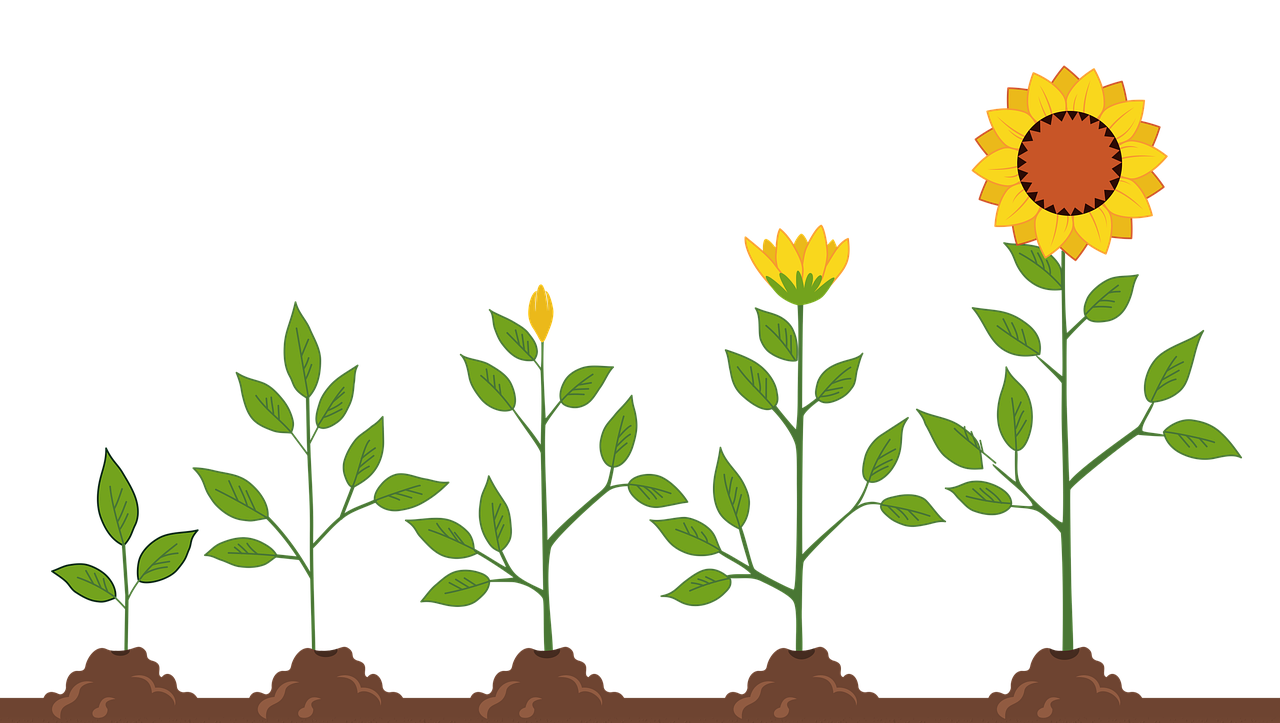 英語ができないからこそ、できること