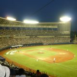 野球選手の仕事を英語で説明！業務内容や日本の野球文化をわかりやすく紹介