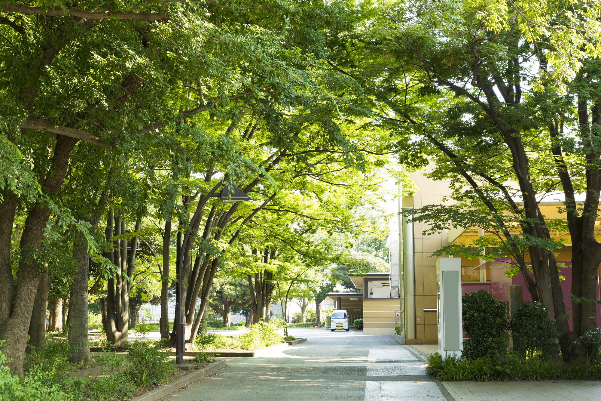 外国人に伝えたい日本の美術館・博物館の特徴