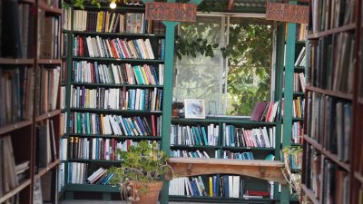 アメリカの夏休みに宿題はある？Summer PacketやSummer Readingを解説（４−7歳編）